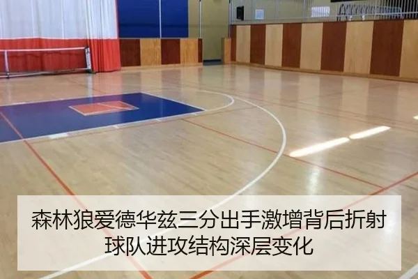 森林狼爱德华兹三分出手激增背后折射球队进攻结构深层变化